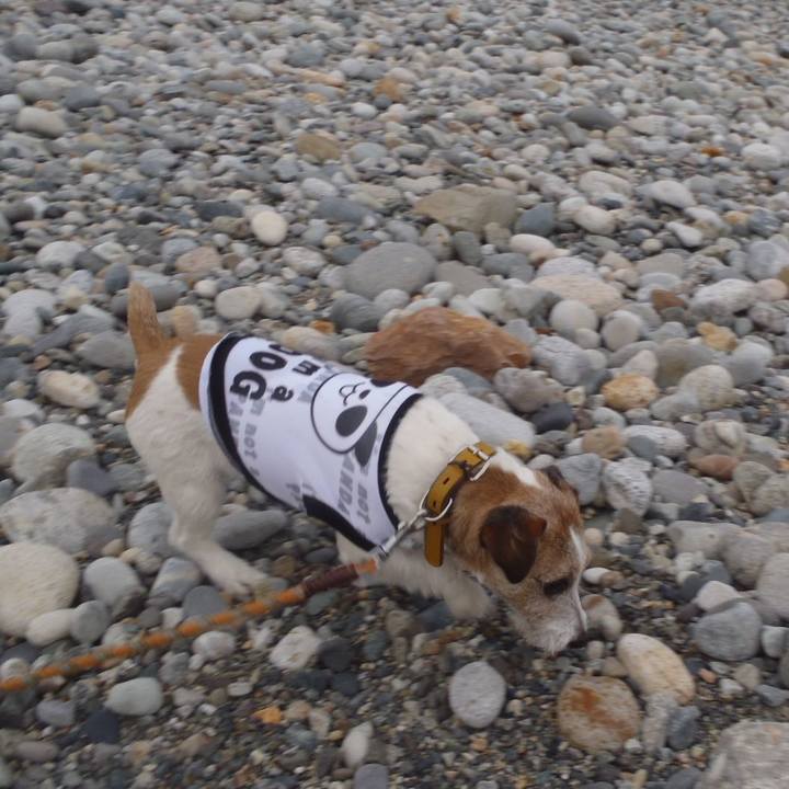 4618e2a1 f531 42e4 9909 7953cdca4012 1511877575539