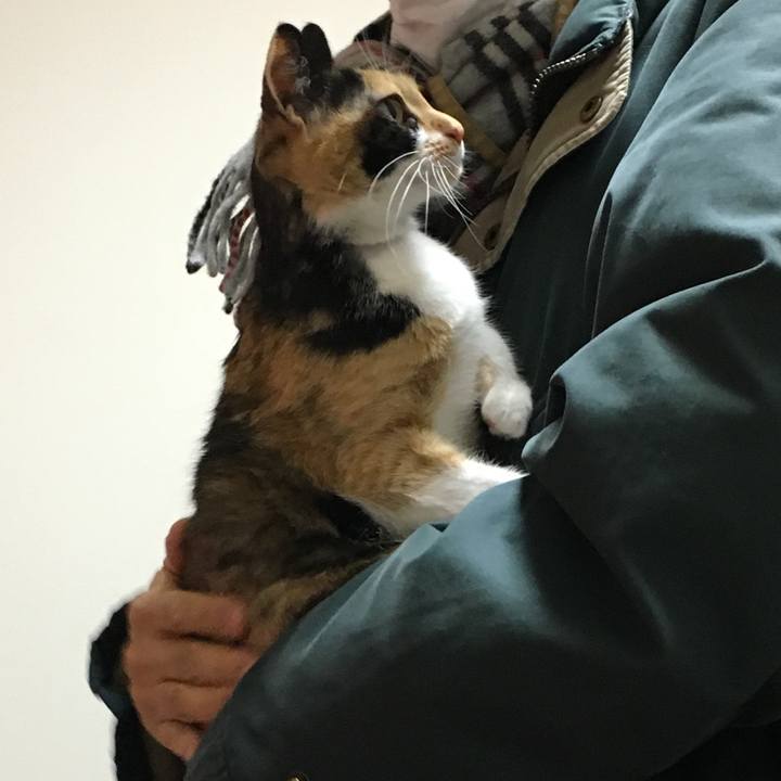 4618ff29 a2ee 4db0 8ea8 98338d83d78f 1517832318204