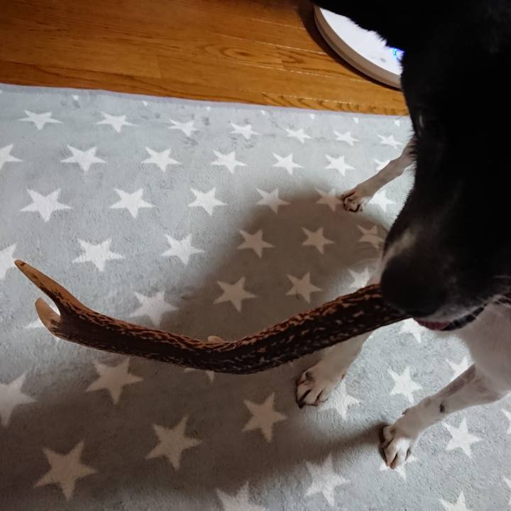 46191652 9dac 4b02 bf84 635e5cd183bb 1530710953208