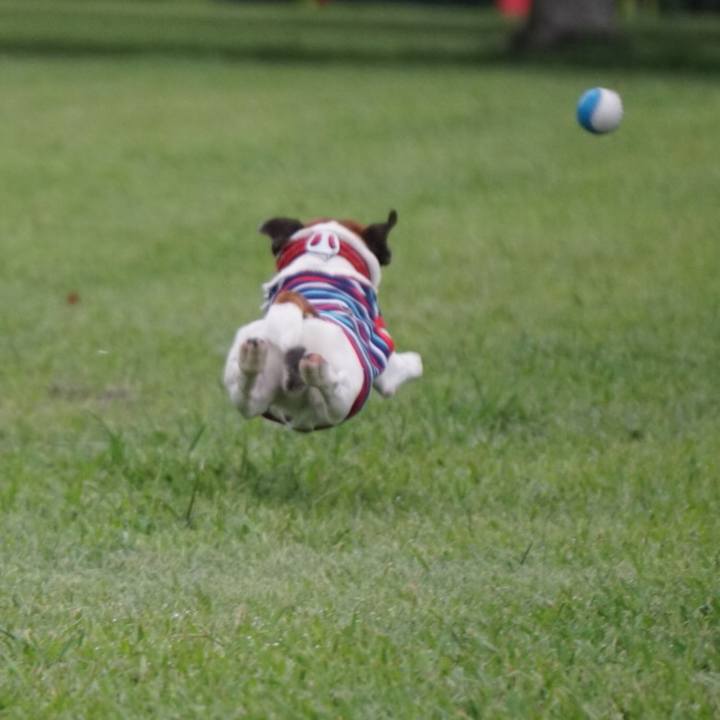 461922dc c555 4603 b7cb 00b2d46c76f1 1567552920208