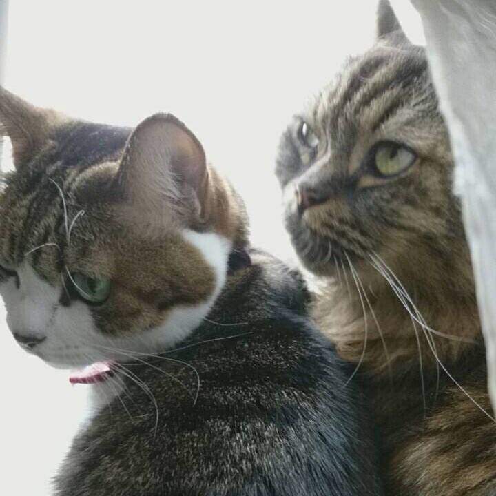 4619946c 21ef 4b13 9ae2 1758f32bb7a8 1542711941604