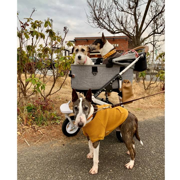 46199dfc c55d 4274 891d 411e8942ba86 1615123133144