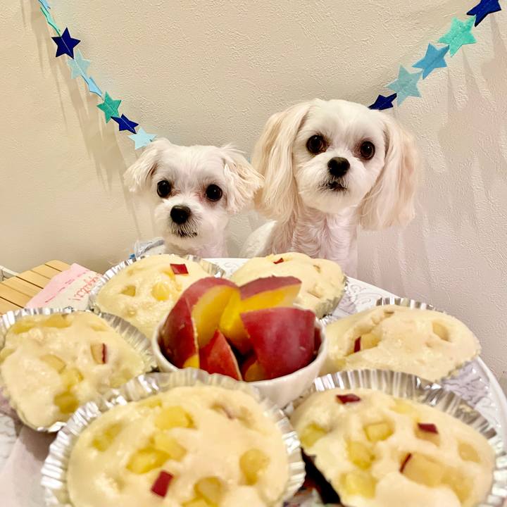 4619aec7 2461 4aac 8600 d97170572981 1630659459098