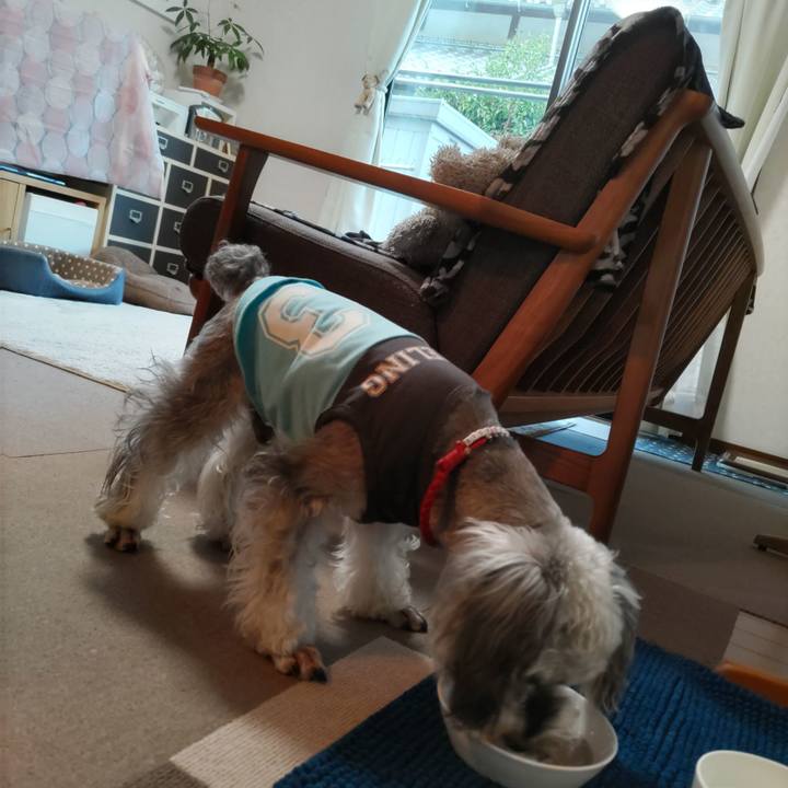 4619da06 c368 428f 9e0b 9d88164c367c 1730293067800