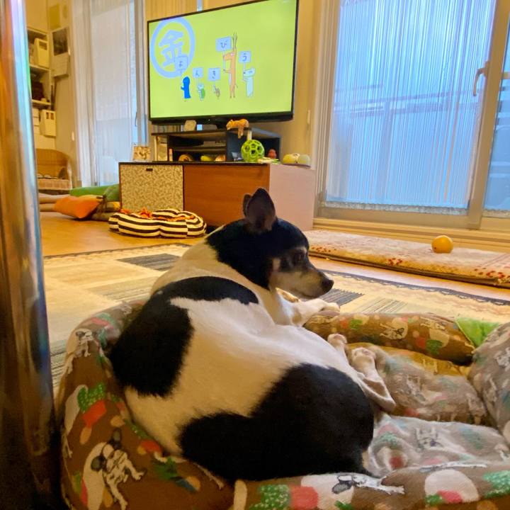 4619f7c1 4cbb 47c2 9d93 02649b4b481c 1613689087614