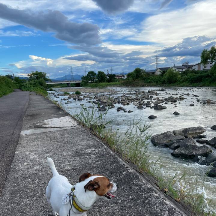 461a05c2 2d65 4c8f bf0a d6a82a167f1e 1692784521459