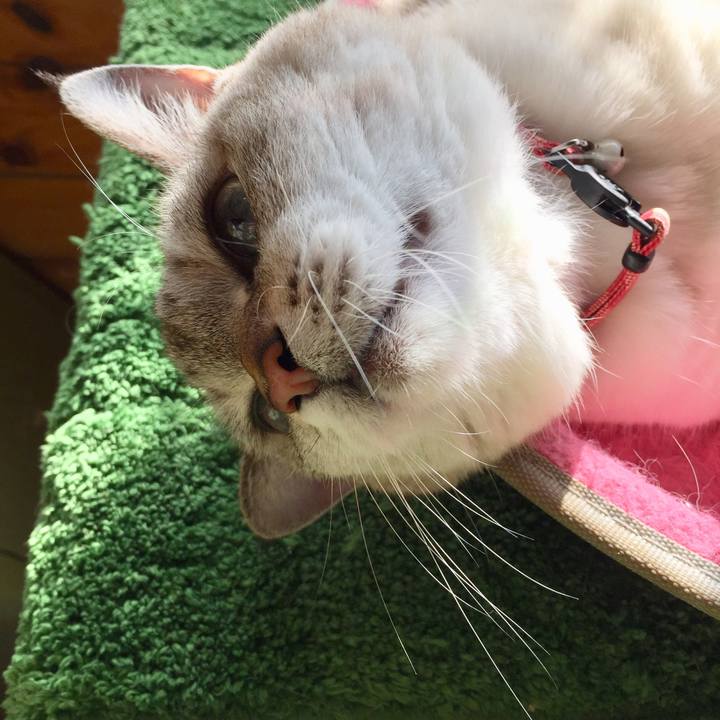 461a0962 65f2 403d 8d3a 69773400e206 1573531738304