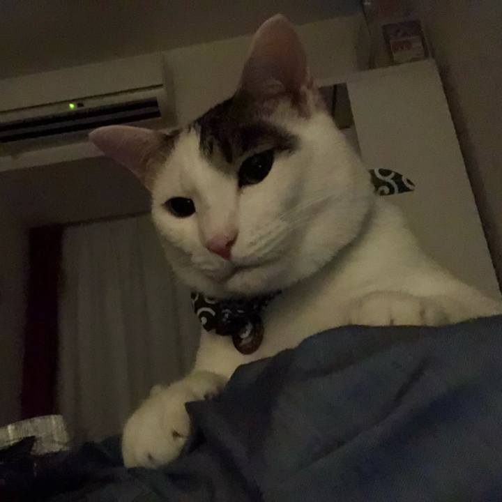 461a17b3 468a 4861 8913 607946a729b3 1533901386359