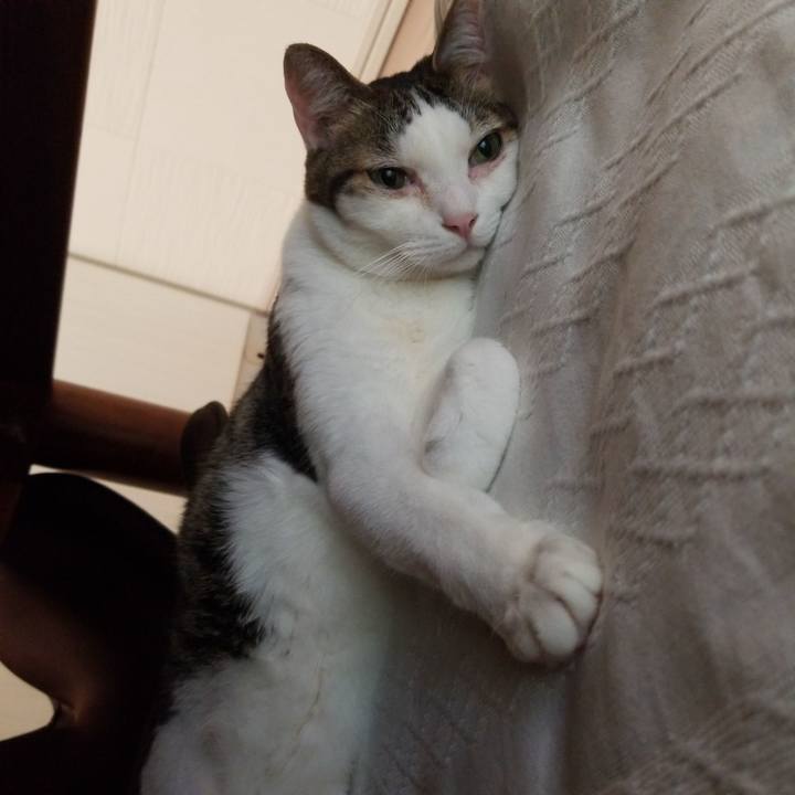 461a43ef 6567 4c60 ad31 e7eb6c233635 1585604398751