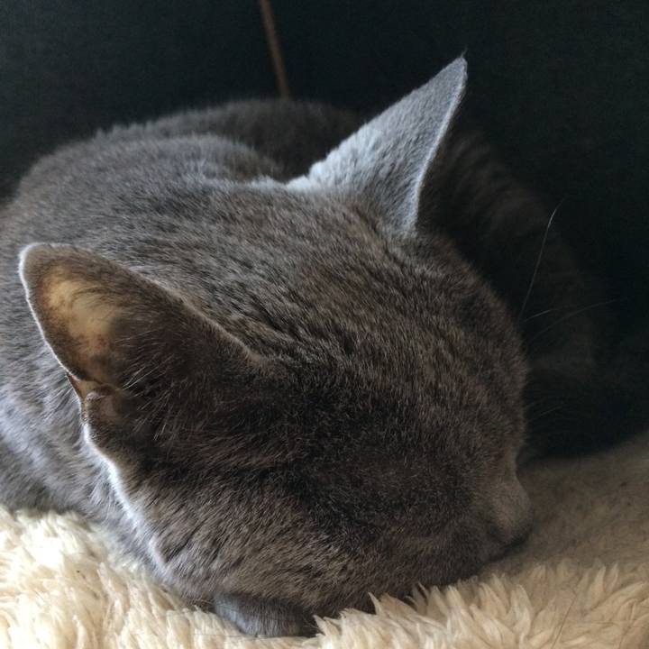 461a4788 1231 476e a70d 7a2cb29dd670 1546297171814