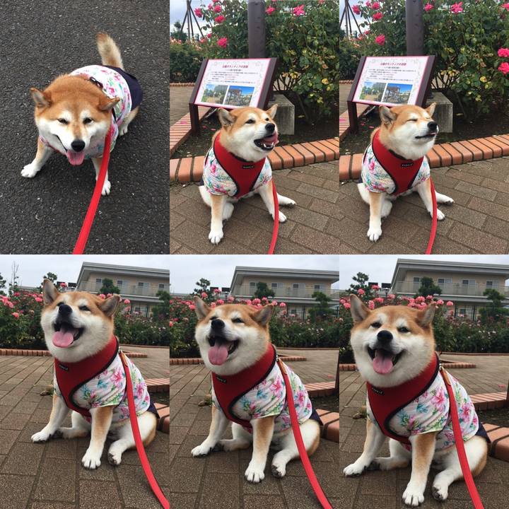 461a4fdb 2127 44a0 8003 64341d95888a 1593753856638