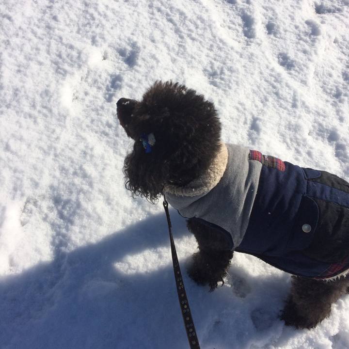 461a6cc3 e49d 4333 9049 d5e04183ae7e 1641515974891