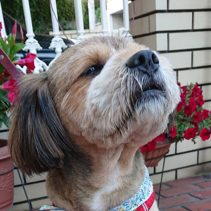 461a84eb 2767 4499 8f89 09588455e5d6 1560340270557