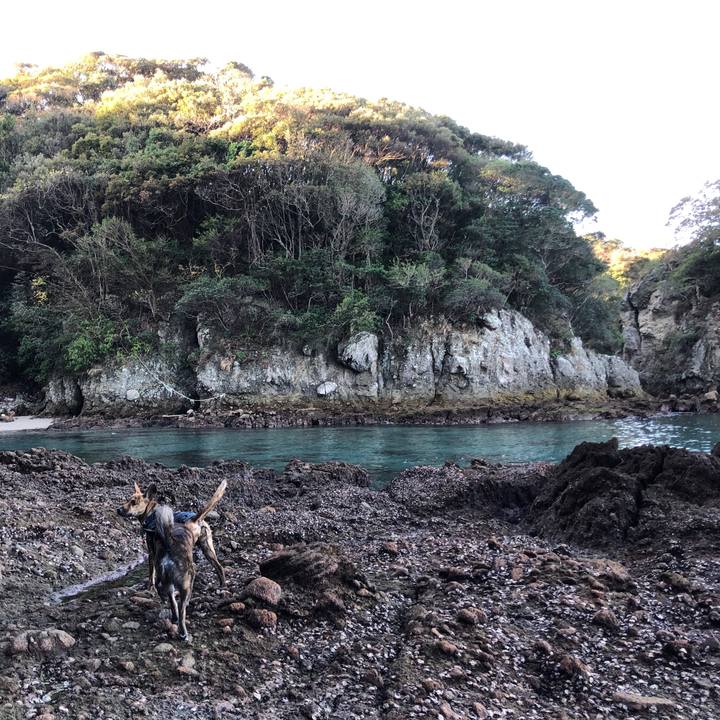 461ab2b4 f5fd 4a58 aa0b 657b647be3c2 1577877514580