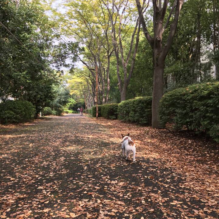 461ac929 dc18 49b1 8091 651f826beeb9 1633908266239