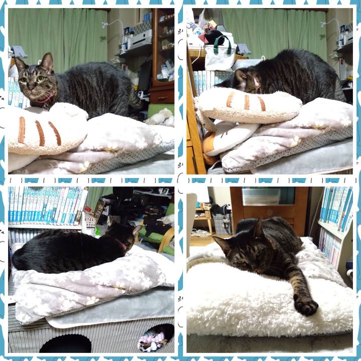 461ade13 41f2 4795 b047 eea3b94ec2b1 1760535169629