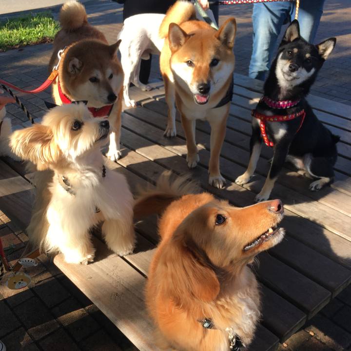 461af3be c81b 4d53 a912 5d9aada1aeeb 1633135943775