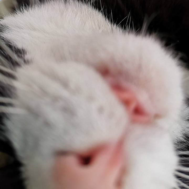 461af7d2 bccb 42fc 9eb9 adeb7a331f45 1681443834544