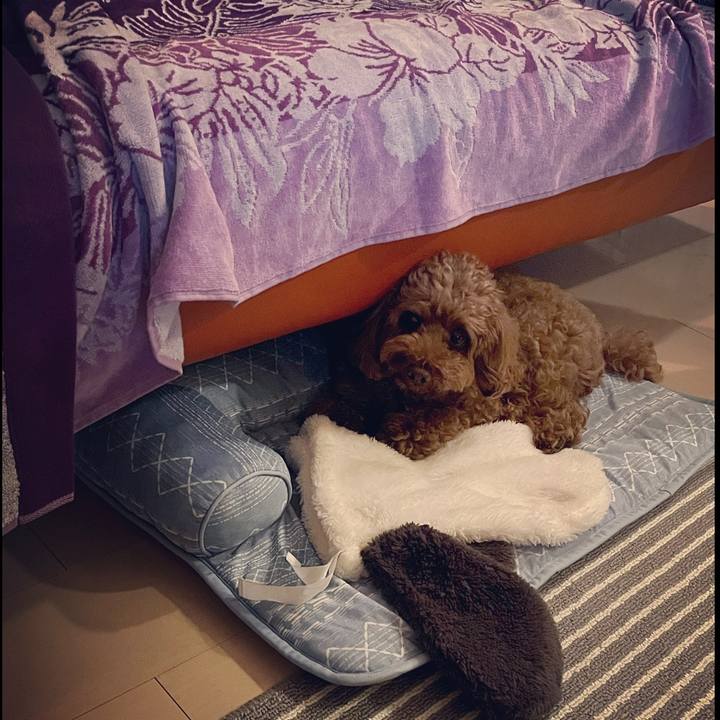 461aff81 30a1 48b9 8f59 d4ffdff8ab1a 1683372256141