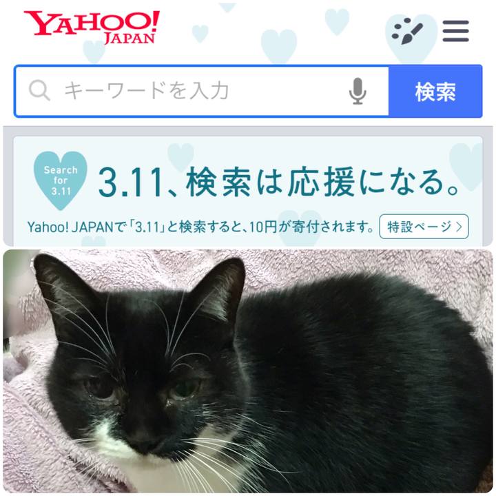 461b6259 5f64 4fe5 aeef 274d6ccec786 1552287243855