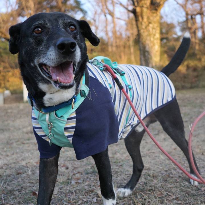 461b7136 bc0d 44dd 8f09 3eb83105f563 1769731915621