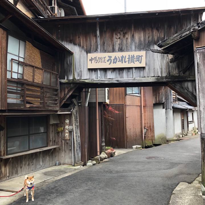 461b8bac aaaa 4d29 8893 78f935bc2351 1519642905693