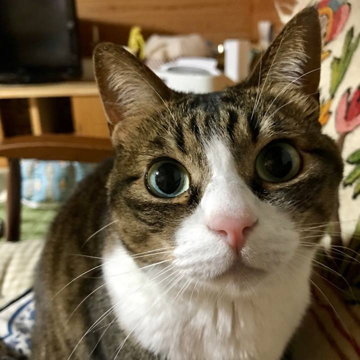 461b8e66 b322 4ab2 9559 041caa4d7c4d 1524575702537