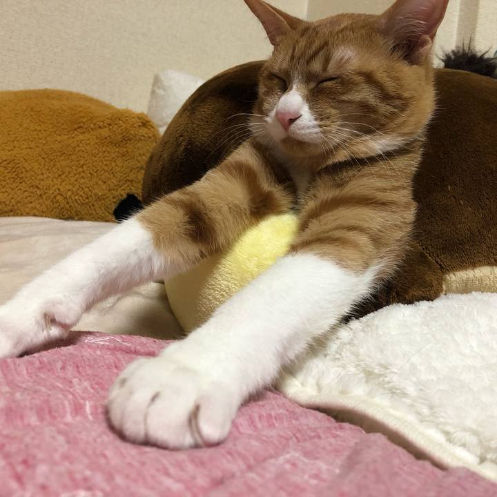 461bccfe 454c 4bd9 b283 c9b960ba7268 1551869278571