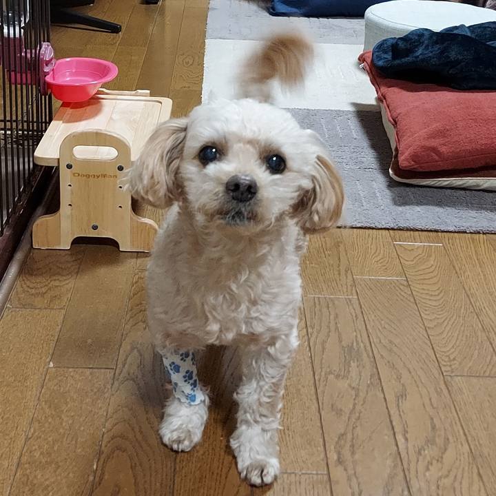 461be155 977b 44c6 957a 27a97e989020 1671599772693