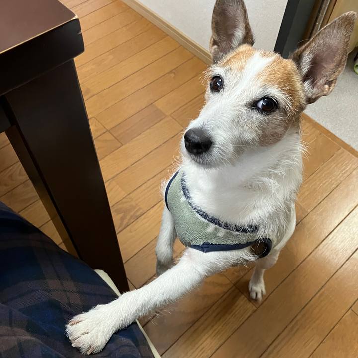 461be436 a734 4df3 bacf ff15582a9fae 1705016299695