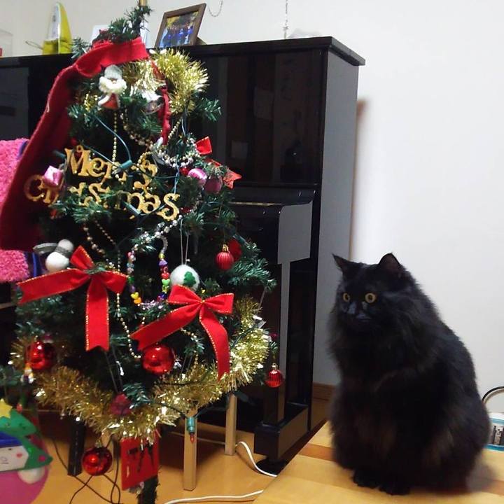 461c6962 db31 427b 961d 403fa61882ed 1545653962585