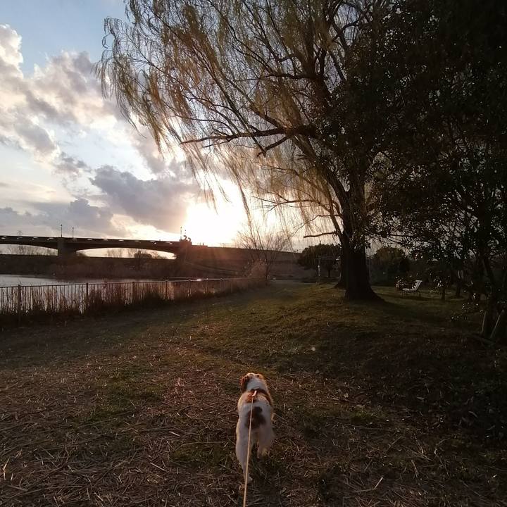 461c7593 426b 4f7c 9cdd b17c89ce3c8f 1584273171770