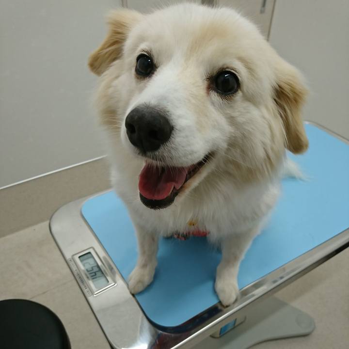 461cbc71 143b 45be abb3 1dfd63c0769c 1553962552227