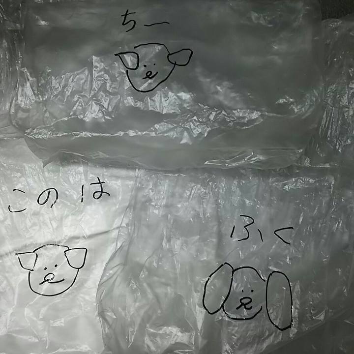 461cc980 397d 45a1 9254 322fc507723b 1544286572693