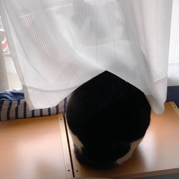 461cdf57 1d00 41ae 8a63 32990ca99465 1558921474410