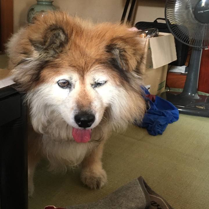 461cf1a3 c23b 4569 bc95 e5500d857fda 1569416944714