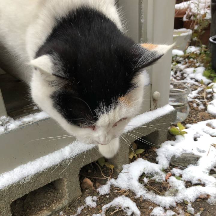 461d112f 478a 46aa b88b f2d8e3e13ca6 1610014288947