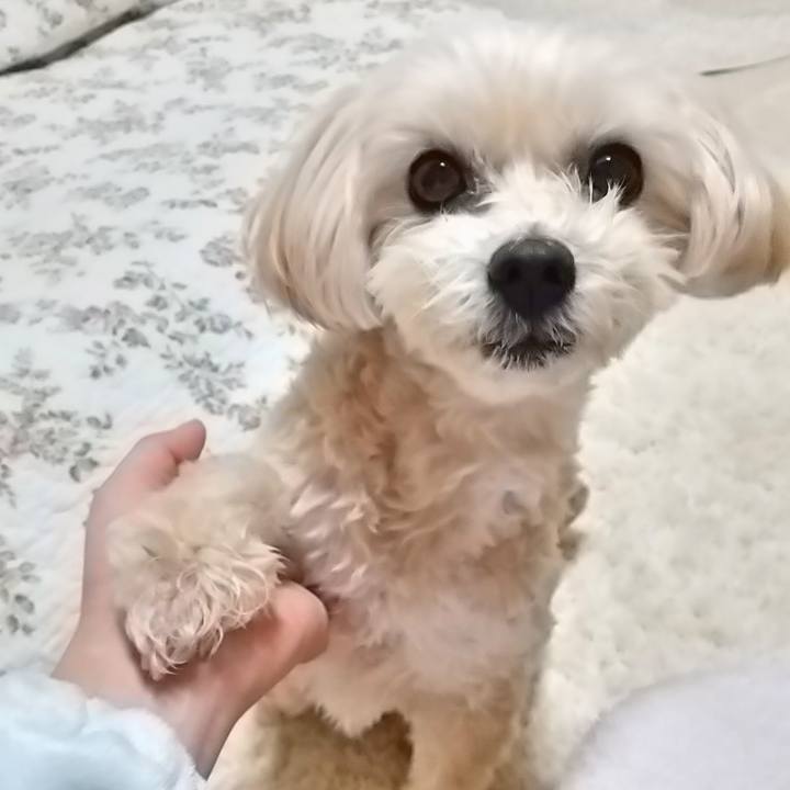 461d4a59 5372 46b3 a7f5 9144d0c64706 1580725399675