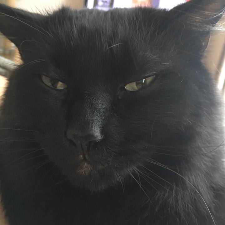 461d5593 a151 4564 ac68 3132666019b2 1528852393363