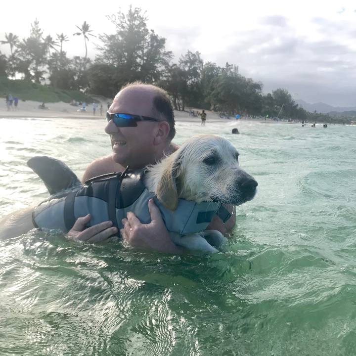 461d7bd5 df28 4310 9c12 bac156f19631 1546398575030