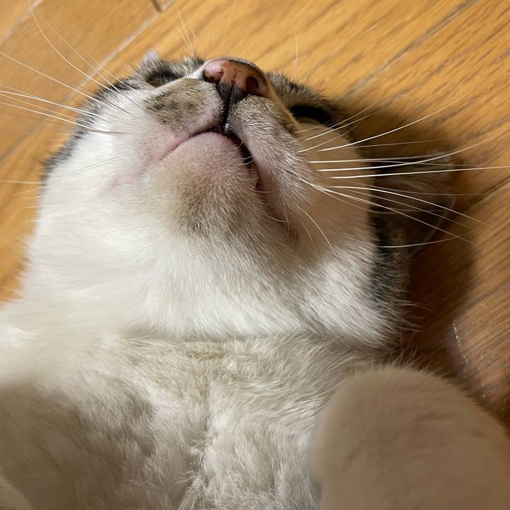 461d9679 5b8c 4519 b416 dff15d43338e 1654679601176