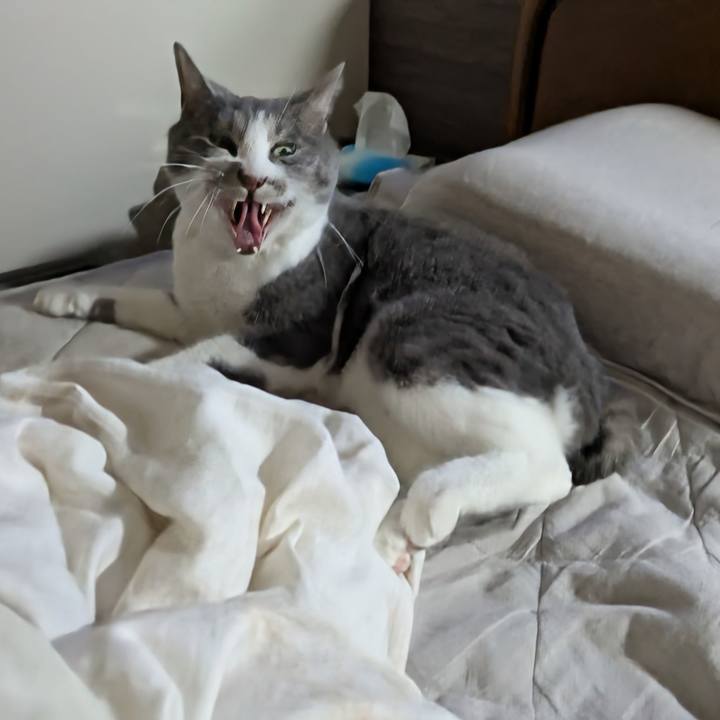 461dc1db 13d5 42b4 9027 cda22bf1f3d6 1747216201660