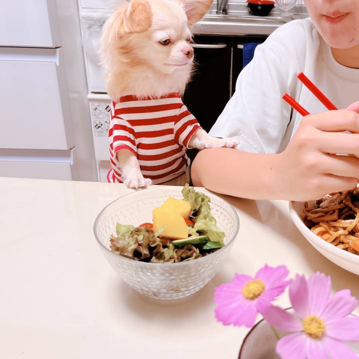 461dc6d6 59cd 4dd8 98bc c8caa904d7dd 1664450881704