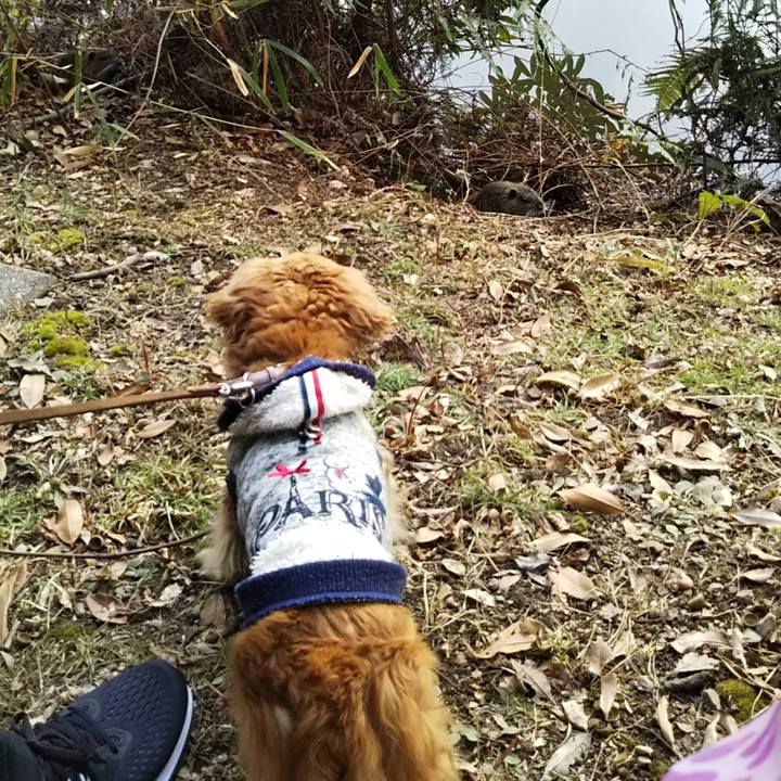 461dcad8 bff8 4f5a 9694 8dfc8edcda88 1580025347209