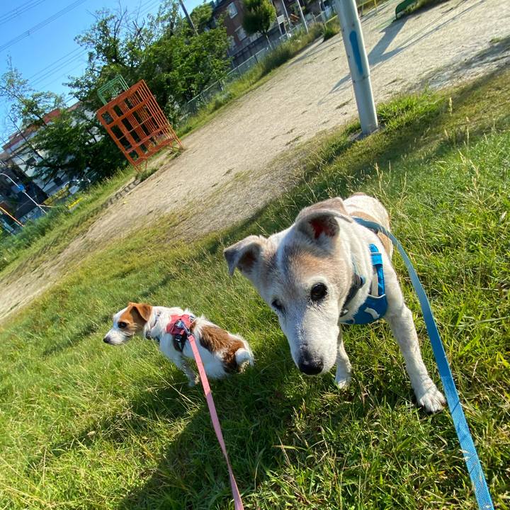 461dcf3b b456 4b34 a1b1 cc211517001d 1717560322124