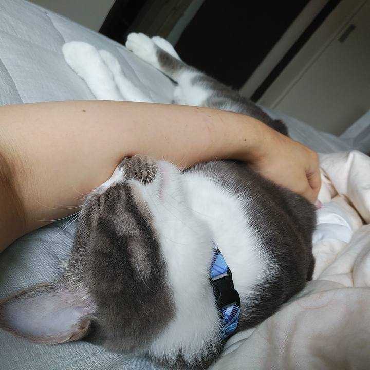 461e143b be6c 408c aa85 0b64a95d94b5 1595375359353