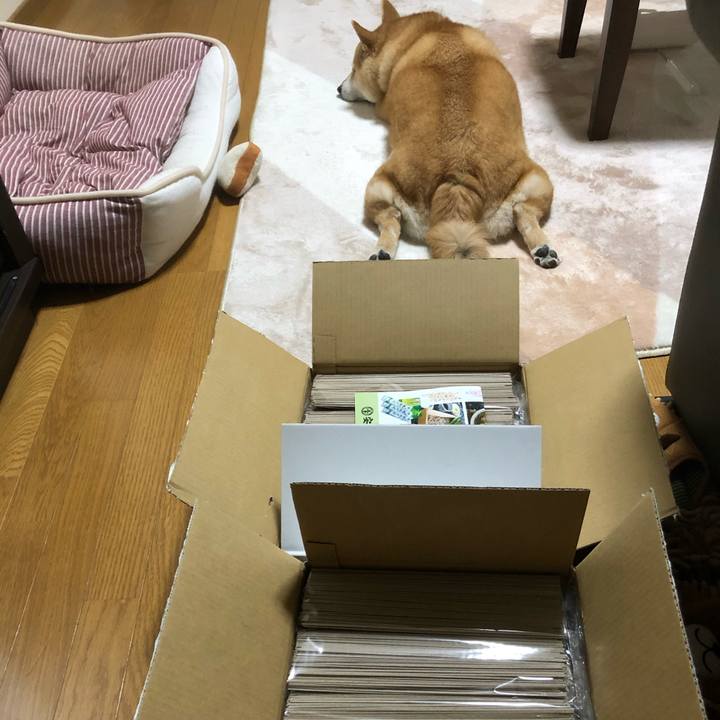 461e5f9b df05 416e 8c3c 44f913cf175c 1583932916500