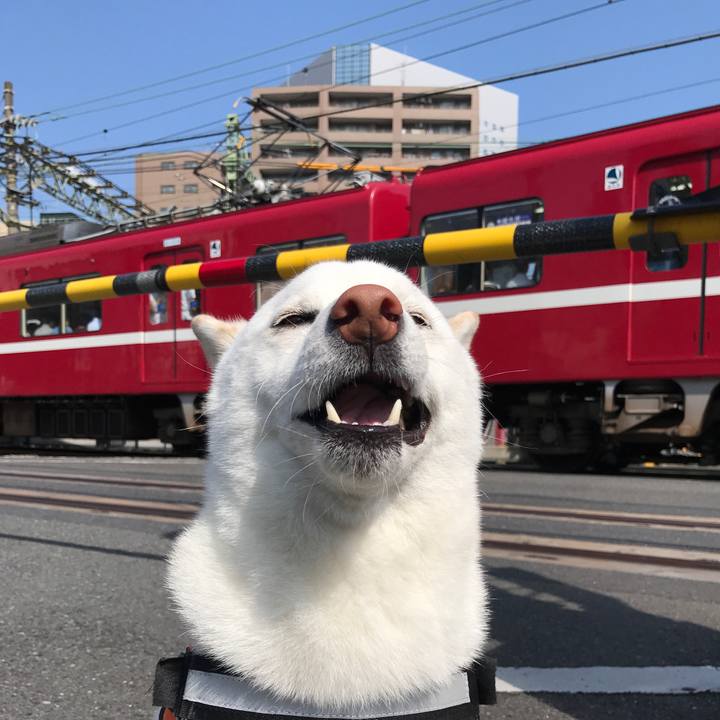 461e714c 781f 4399 9bce 7f0a774636cb 1529975542674