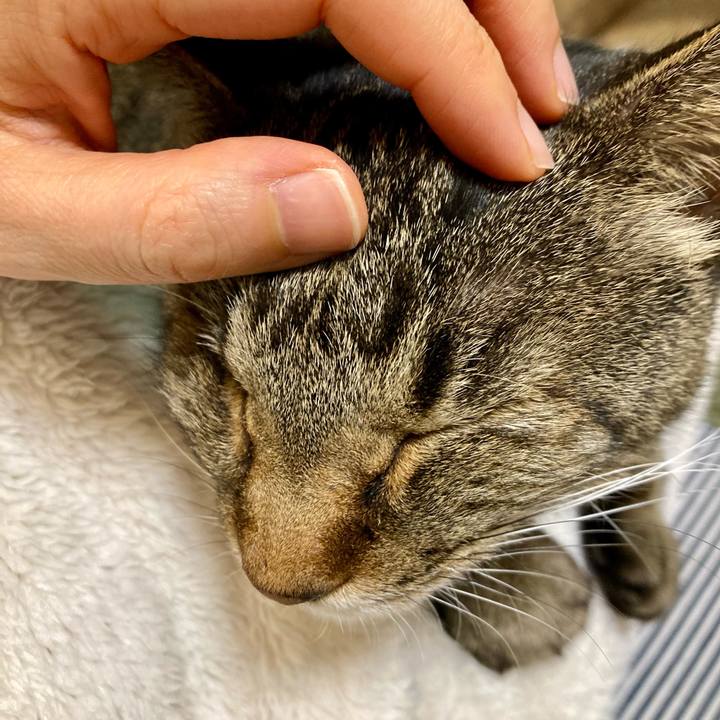 461e891c e537 4688 9a60 fee5c22b7d55 1645839089341