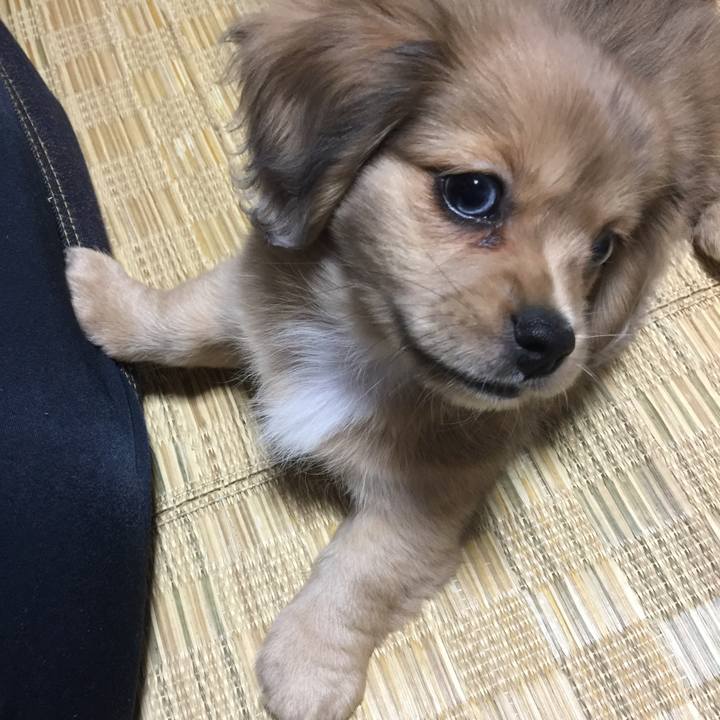 461ea8e8 d7e7 49e6 8a39 594164ad7023 1536614999827